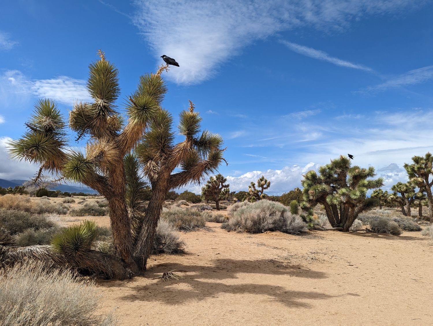 USA – Bakersfield & Barstow